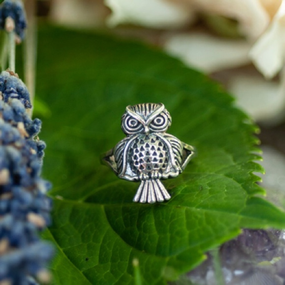 Owl Sterling Silver Celtic Ring